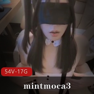 TSOnlyFans大雕-mintmoca3合集：54V，17G，女孩涂油R自己，前列腺隆球手术下载